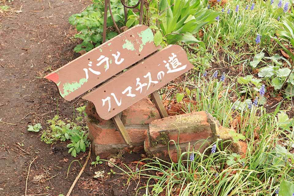 紫竹ガーデンの写真